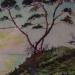 Les pins sur la mer