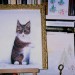 Le petit chat