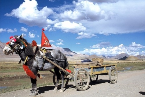 charrettes-chevaux-routes-tibet-2316095233-916632.jpg