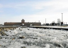 untitled.bmp Auschwitz collégiens.jpg