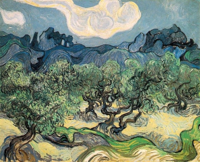 800px-Vincent_van_Gogh_(1853-1890)_-_The_Olive_Trees_(1889).jpg