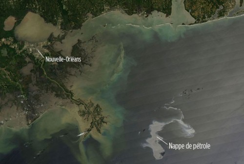 Marée noire golfe du Mexique.jpg